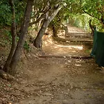 Laminerve Pramousquier Villa Le Lavandou